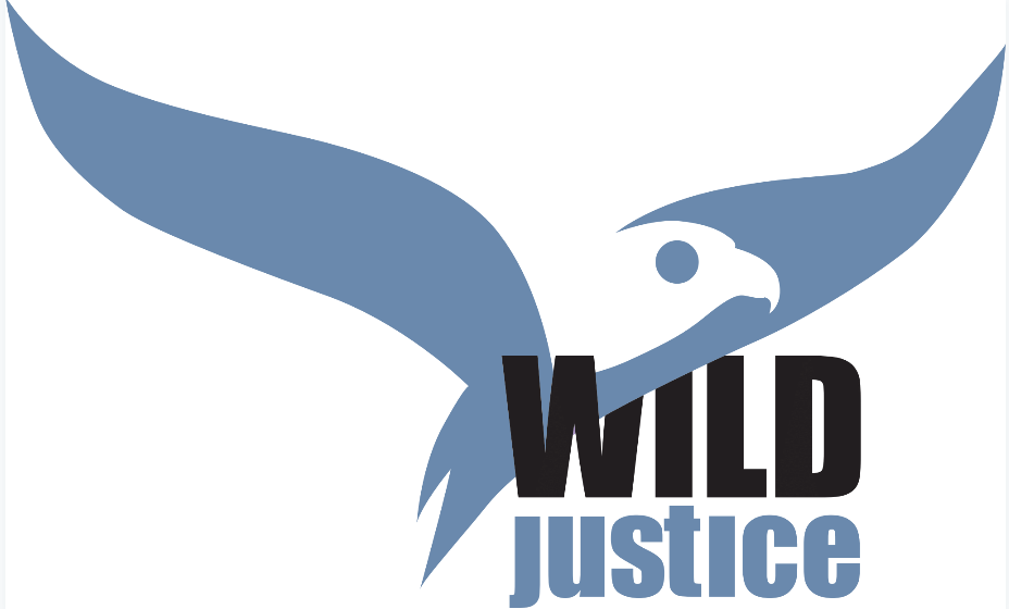 Wild Justice starts a legal challenge against the General Licence system that allows corvid persecution